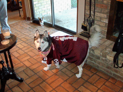 Kema is an Aggie 02.JPG